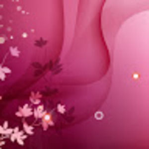 Meet your Posher, Araceli